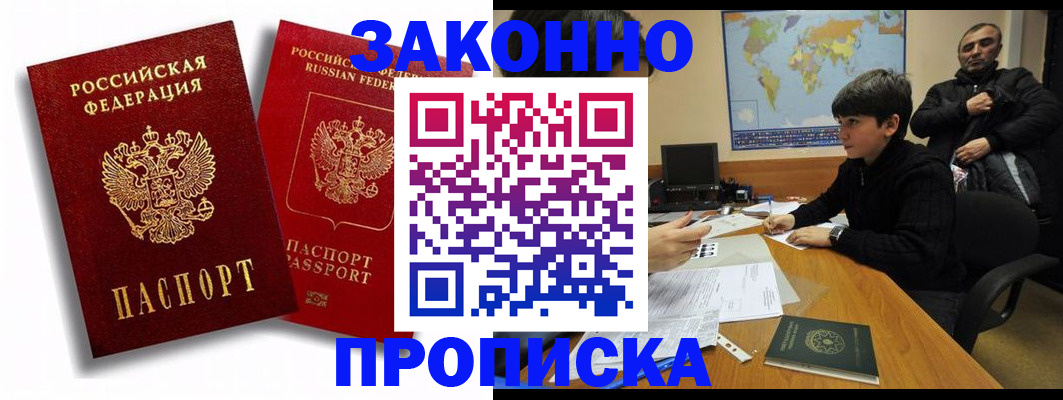 прописка поиск в Камышине